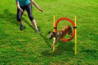 BZ AGILITY HOEPEL SET 60
