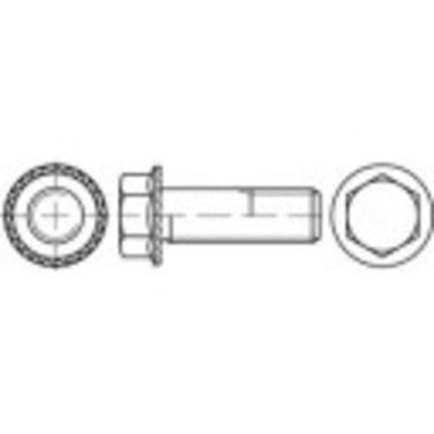 TOOLCRAFT 161379 Borgschroeven M6 20 mm Buitenzeskant Staal 500 stuk(s)