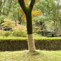 Jute rol 200 g/m 1x15 m 100% jute