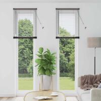 Raam Blind met gordijnen Anders Zwart 60 x 220 cm Aluminium
