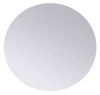 RVS schijf Ø36x2mm (set van 2 stuks)