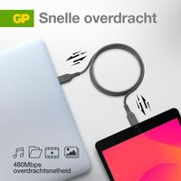 GP USB-laadkabel USB 2.0 USB-C stekker, USB-C stekker 1.00 m Grijs GPCBCC1PGYUSB252 - thumbnail