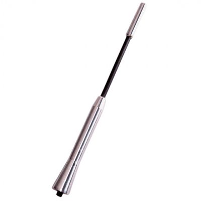 Carpoint antenne Shortstick 17,5 cm aluminium zilver Carpoint antenne Shortstick 17,5 cm aluminium zilver