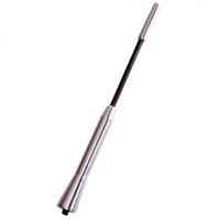 Carpoint antenne Shortstick 17,5 cm aluminium zilver - thumbnail