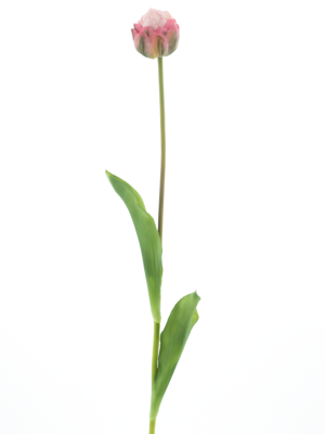 PSO Tulip spray Paris Sally pink 79 cm kunstbloem - Nova nature