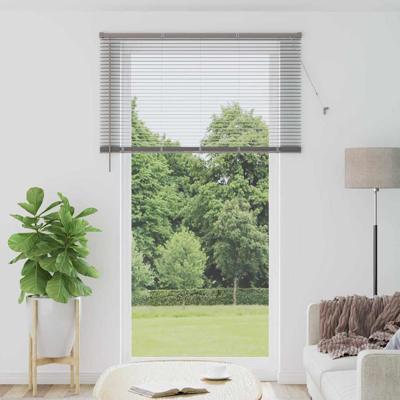 Raam Blind met gordijnen Anders Zilver 135 x 220 cm Aluminium