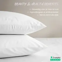 Bamboe Kussenslopen Wit (2 Stuks) 40x60 Cm