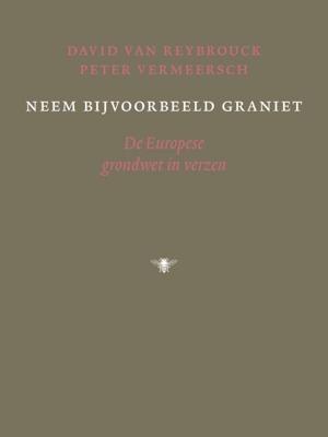 Neem bijvoorbeeld graniet (Paperback)