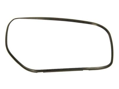 Spiegelglas, buitenspiegel 6102021232111P