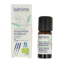 Ladrome Eucalyptus globulus olie bio