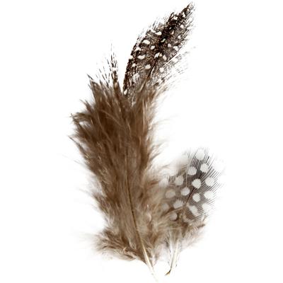 Creativ Company Veren van parelhoen, ca. 100 stuk, bruin, 3 gr/ 1 doos