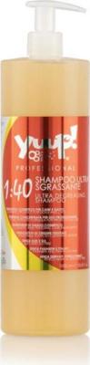 Ultra Degreasing shampoo 1 ltr 1:40