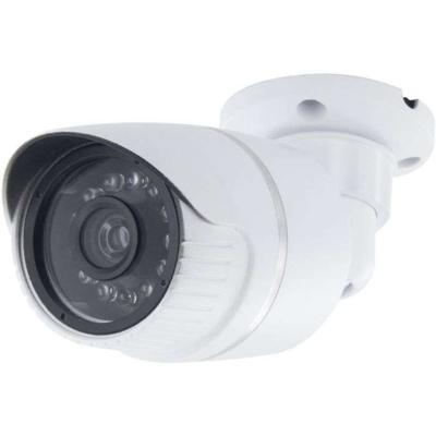 Dummycamera - CHACON - Aluminium - Blauwe LED - Wit