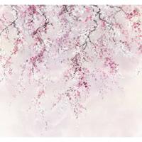 Fotobehang - Kirschblüten 300x280cm - Vliesbehang - thumbnail