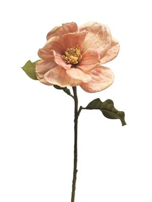 Magnolia Alice roze 66cm