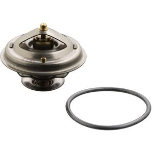 Thermostaat 18294