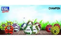 E&L Sports Voetbal champion - verschillende prints - 320 gram - maat 5