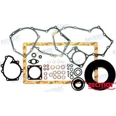 REC877419 - ONDERSTE PAKKINGSET D2 Volvo
