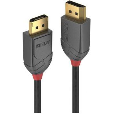 Lindy 36480 DisplayPort kabel 0,5 m Grijs