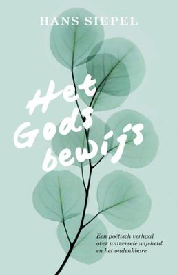 Het Godsbewijs - Hans Siepel - eBook (9789020214697)