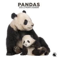 Panda Kalender 2026