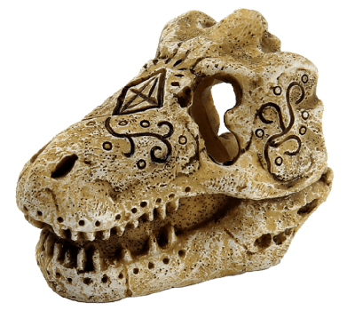 Superfish skull t rex s - Superfish