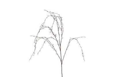 Countryfield betula 132 cm bruin