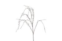 Countryfield betula 132 cm bruin