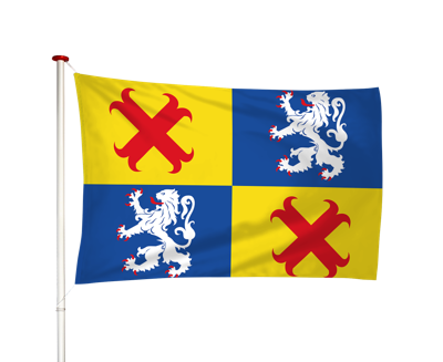 Vlag Steenwijkerwold