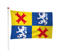 Vlag Steenwijkerwold