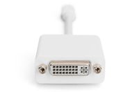 Digitus AK-340406-001-W DisplayPort / DVI Adapter [1x Mini-DisplayPort stekker - 1x DVI-bus 24+5-polig] Wit 15.00 cm - thumbnail