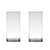 Hakbijl Glass Vaas - 2x stuks - cilinder - glas - helder - 30 x 12 cm - bloemenvaas