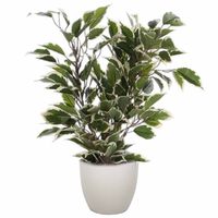 Groen/witte ficus kunstplant 40 cm met plantenpot taupe D13.5 en H12.5 cm - Kunstplanten - thumbnail