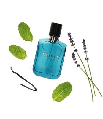 LaMusê Lamuse eau de toilette spray heren alpha male pour homme 100ml