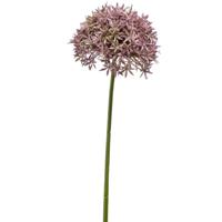 Allium/Sierui kunstbloem - losse steel - lila - 62 cm - Natuurlijke uitstraling   -