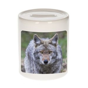 Dieren foto spaarpot wolf 9 cm - wolven spaarpotten jongens en meisjes