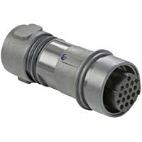 Bulgin PXP6011/03P/CR/0507 Ronde connector Stekker, recht Serie (ronde connectors): Buccaneer 6000 Totaal aantal polen: 2 + PE 1 stuk(s) - thumbnail