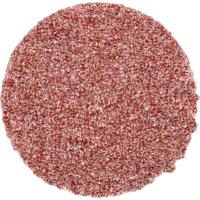 PFERD TOOLS CD 38 A 36 FORTE 42751403 Schuurblad Korrelgrootte (num) 36 (Ø) 38 mm 100 stuk(s)