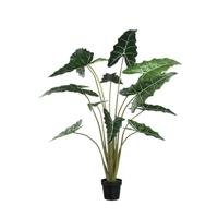 Groene Alocasia kunstplant in pot - L