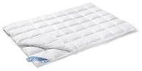 Vandyck donzen dekbed 65 duo