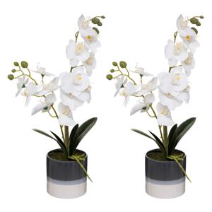 Orchidee bloemen kunstplant in sierlijke blauwe bloempot - 2x - witte bloemen - H45 cm