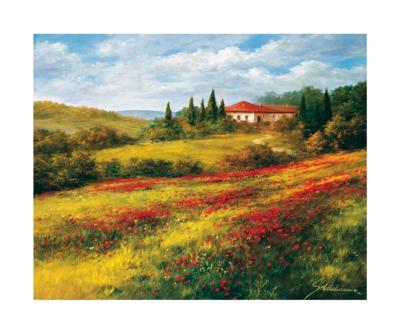 Kunstdruk Heinz Schölnhammer - Landschaft mit Mohn I 60x50cm