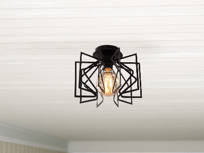 Plafondlamp EMRUTTY 1 lamp zwart