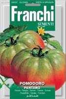 Tomaat, Pomodoro Pantano 106/64 - Franchi
