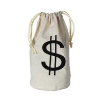 Geldzak met dollar teken - stof - 16 x 23 cm - boef/dief verkleedaccessoires