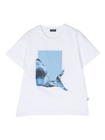 Il Gufo t-shirt en coton à imprimé requin - Blanc