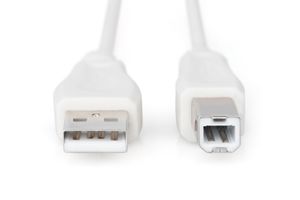 Digitus USB-kabel USB 2.0 USB-A stekker, USB-B stekker 1.80 m Beige AK-300102-018-E