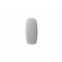 INK SP31 spiegel - 40x4x80cm contour in stalen kader incl dir LED - verwarming - color changing - dimbaar en schakelaar - geborsteld RVS 8409843