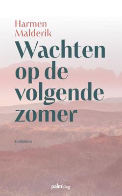 Wachten op de volgende zomer (Paperback)