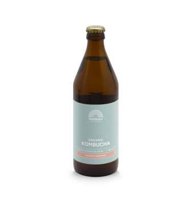 Kombucha rooibos - rosemary bio
